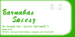 barnabas spiesz business card